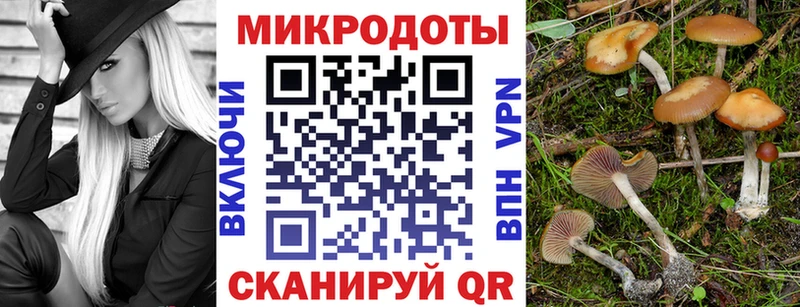 Псилоцибиновые грибы GOLDEN TEACHER  Кремёнки 